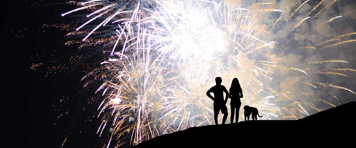 7 Ways To Keep Your Husky Calm During Fireworks