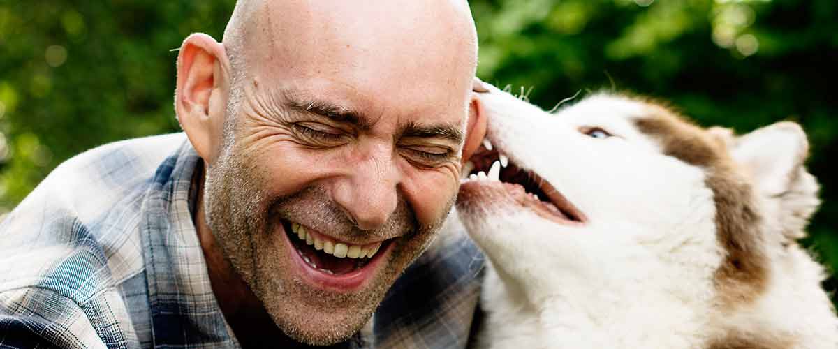 The Pros and Cons of a Raw Diet for Huskies