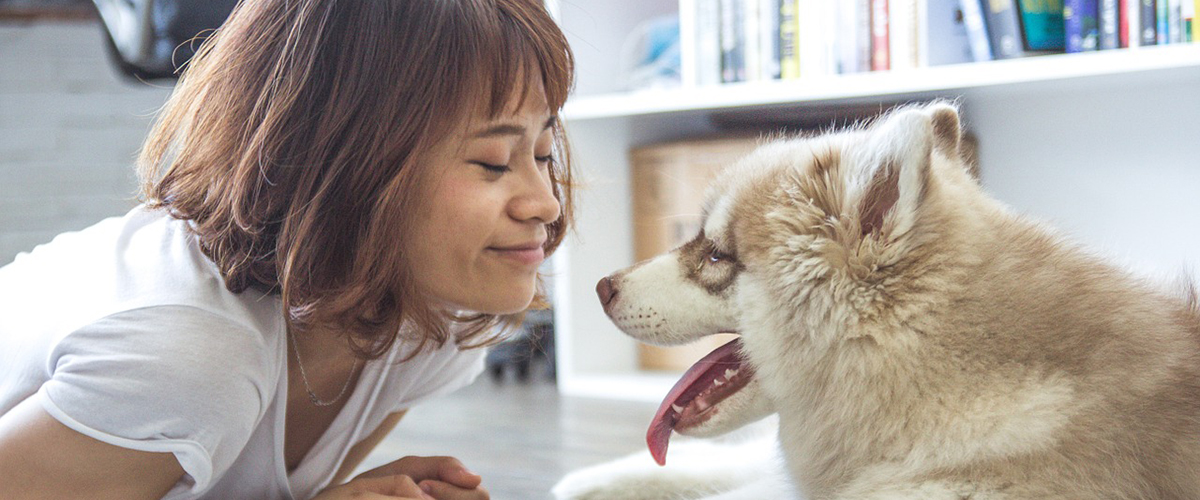 How To Care for Pets When You’re Social Distancing Due To Coronavirus